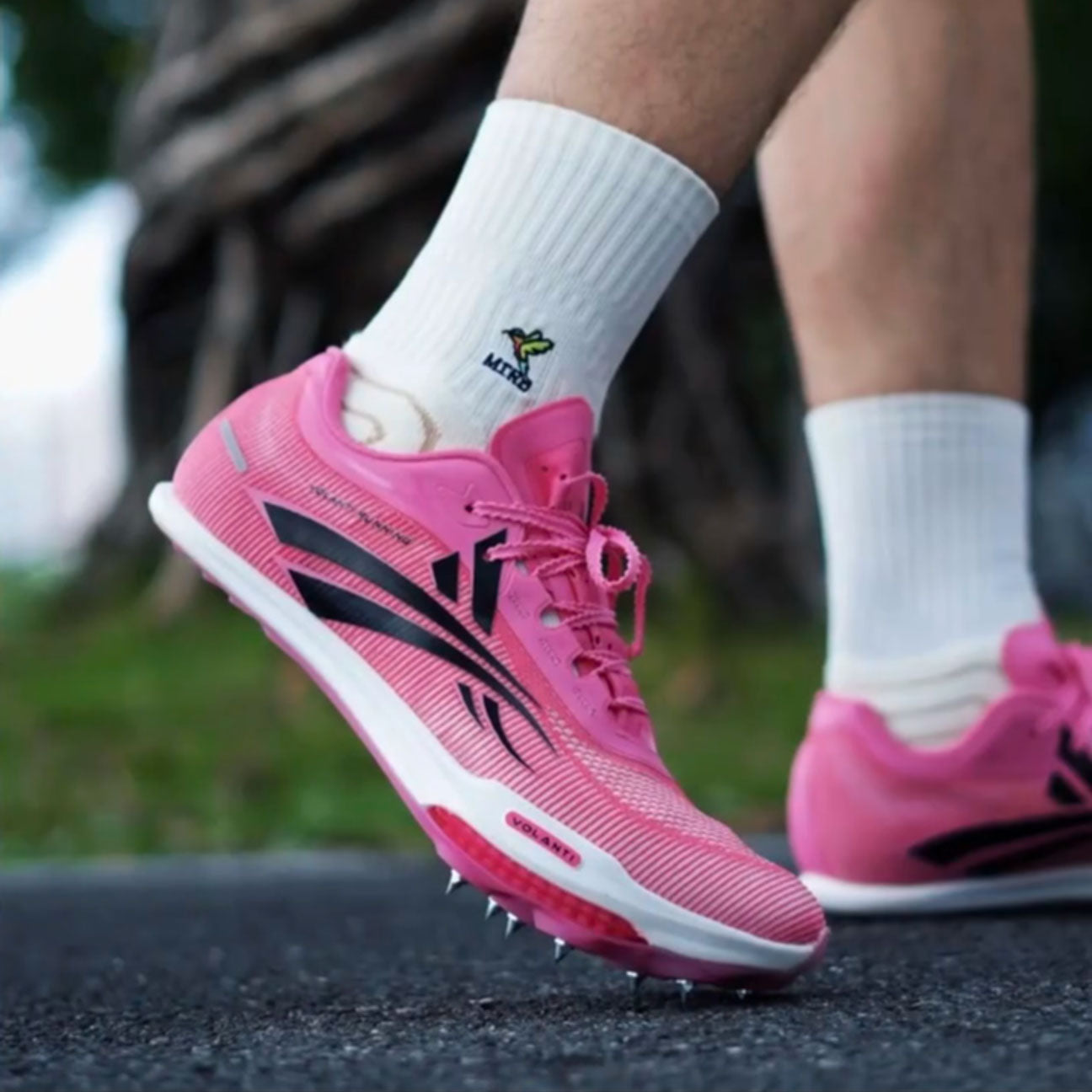 Lynx Carbon Sprint Track Spikes