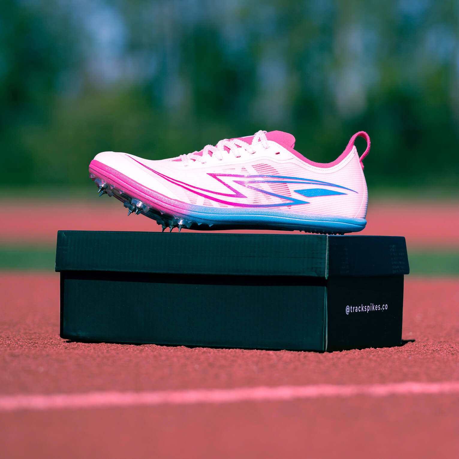 Carbon Z Sprint Track Spikes